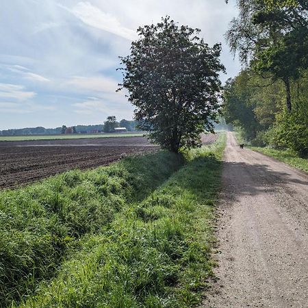 Luxe Bungalow "Zomeroord" Beekbergen Eksteriør billede